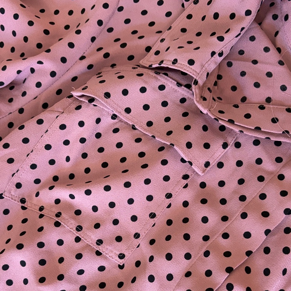 Polka Dot Button-Front Blouse - Pink - Picture 4 of 10